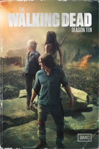 The Walking Dead S10 (Complete)  | TV Series