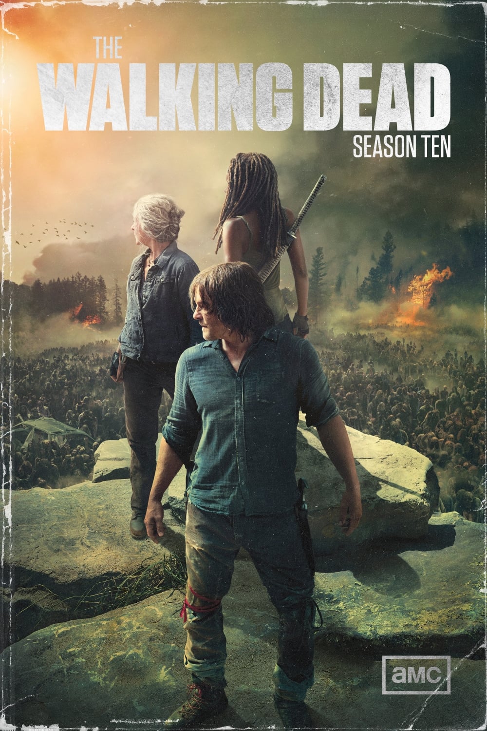 The Walking Dead S10 (Complete)  | TV Series