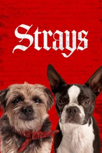 Strays (2023) | Download Hollywood Movie