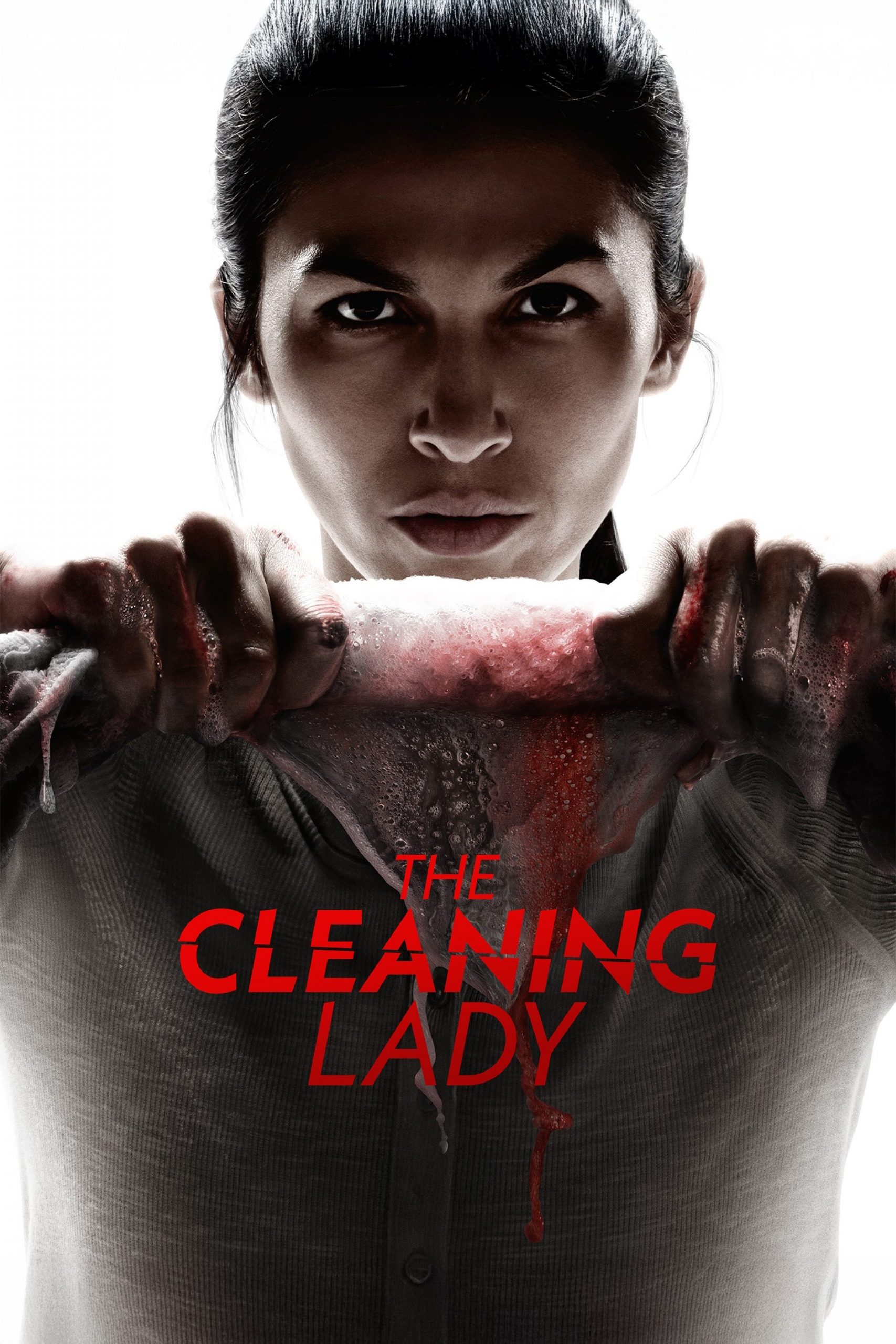 The Cleaning Lady S04 (Episode 11 & 12 Added) | TV Series